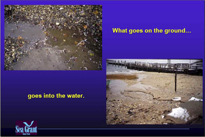 Marina Image Slide Show