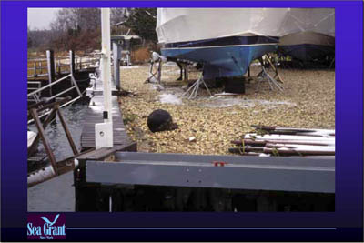 Marina Image Slide Show