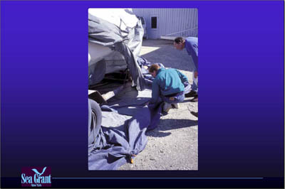 Marina Image Slide Show